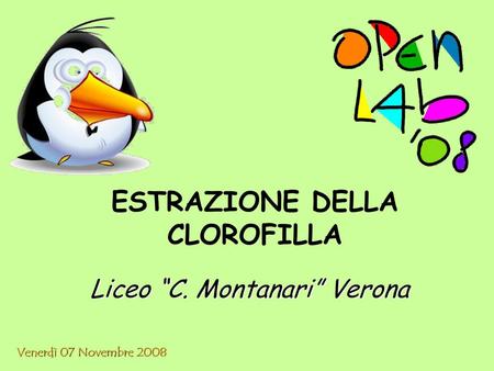 Liceo “C. Montanari” Verona