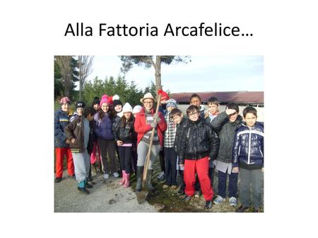 Alla Fattoria Arcafelice…