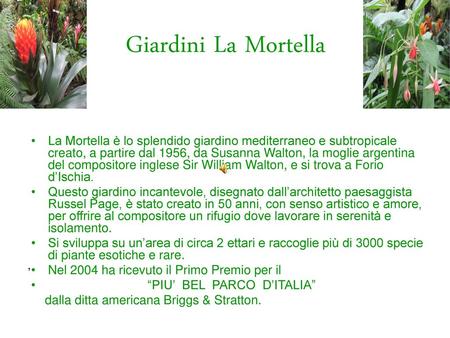 Giardini La Mortella La Mortella è lo splendido giardino mediterraneo e subtropicale creato, a partire dal 1956, da Susanna Walton, la moglie argentina.