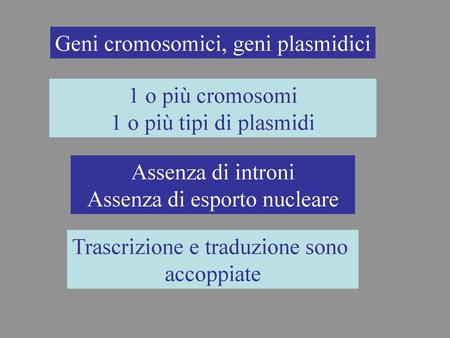 Geni cromosomici, geni plasmidici