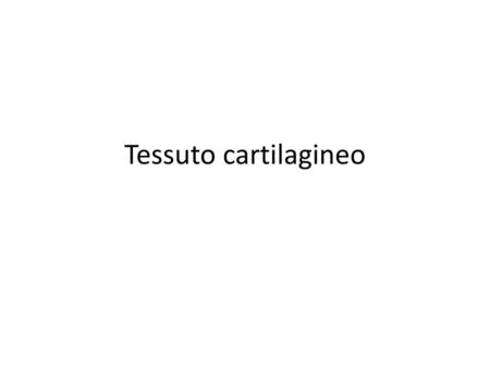 Tessuto cartilagineo.
