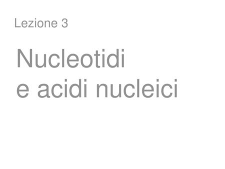 Nucleotidi e acidi nucleici