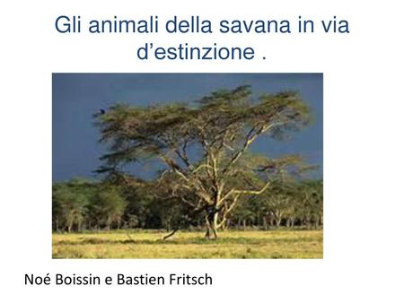 Gli animali della savana in via d’estinzione .