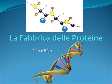 La Fabbrica delle Proteine