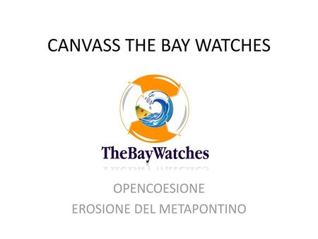 CANVASS THE BAY WATCHES
