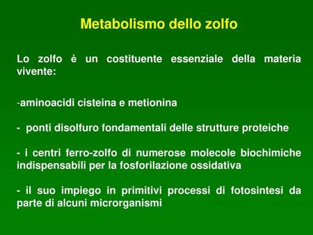 Metabolismo dello zolfo