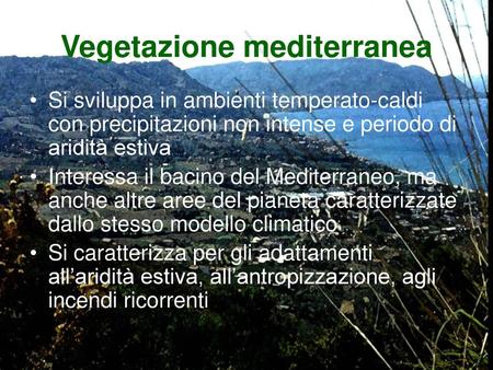 Vegetazione mediterranea