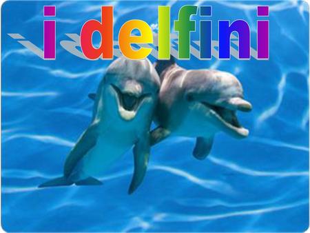 I delfini.