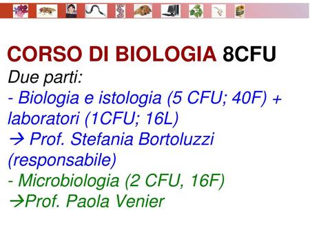 CORSO DI BIOLOGIA 8CFU Due parti: - Biologia e istologia (5 CFU; 40F) + laboratori (1CFU; 16L)  Prof. Stefania Bortoluzzi (responsabile) - Microbiologia.