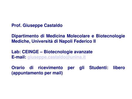 Prof. Giuseppe Castaldo