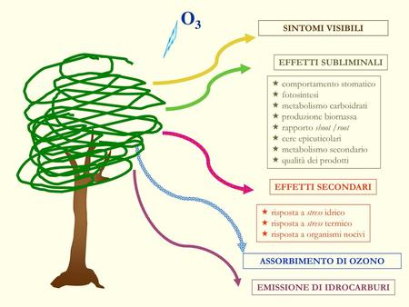 EMISSIONE DI IDROCARBURI