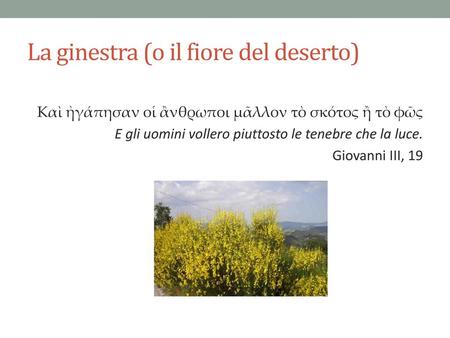 La ginestra (o il fiore del deserto)