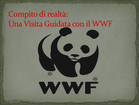 Compito di realtà: Una Visita Guidata con il WWF