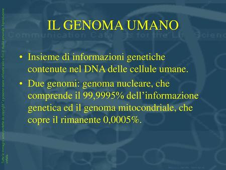 IL GENOMA UMANO Insieme di informazioni genetiche contenute nel DNA delle cellule umane. Due genomi: genoma nucleare, che comprende il 99,9995% dell’informazione.