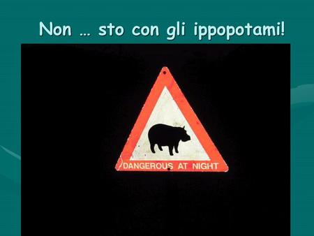 Non … sto con gli ippopotami!