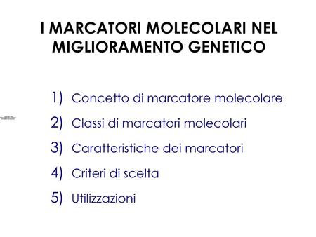 I MARCATORI MOLECOLARI NEL MIGLIORAMENTO GENETICO