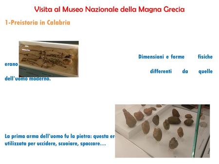 Visita al Museo Nazionale della Magna Grecia