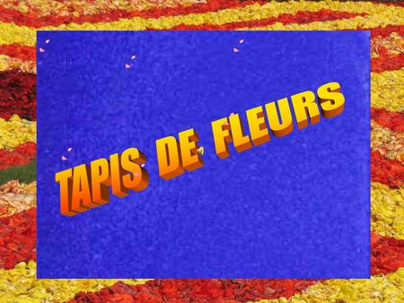 TAPIS DE FLEURS.