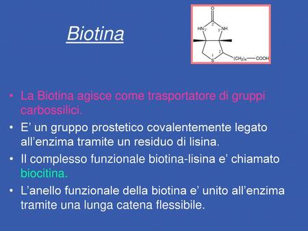 Biotina La Biotina agisce come trasportatore di gruppi carbossilici.