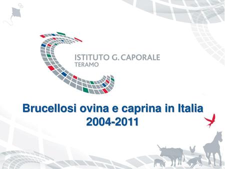 Brucellosi ovina e caprina in Italia