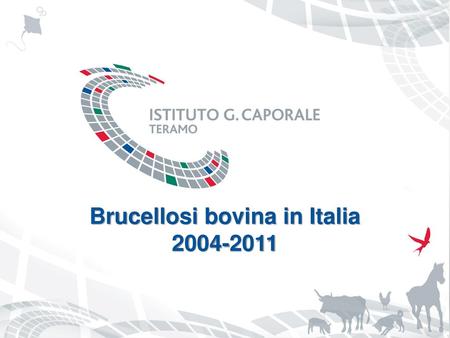 Brucellosi bovina in Italia
