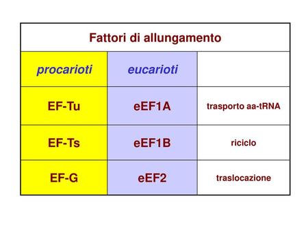 Fattori di allungamento