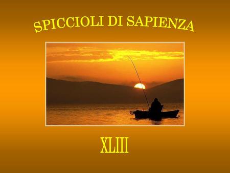 SPICCIOLI DI SAPIENZA XLIII.