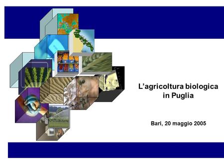 L’agricoltura biologica in Puglia