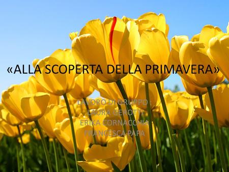 «ALLA SCOPERTA DELLA PRIMAVERA»