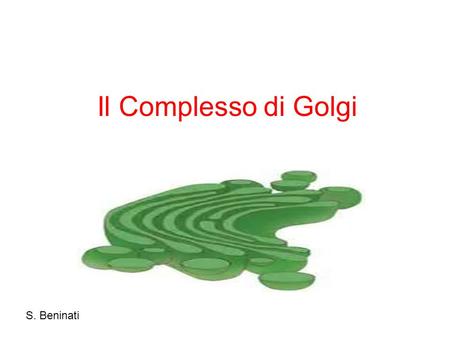 Il Complesso di Golgi S. Beninati.