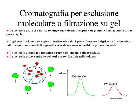 Cromatografia per esclusione molecolare o filtrazione su gel