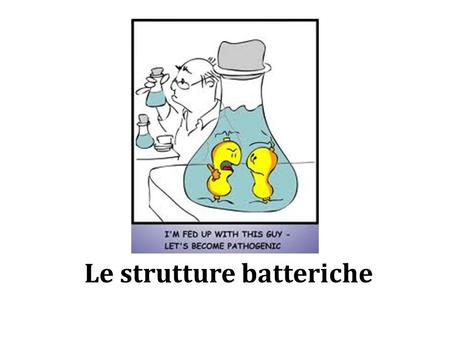 Le strutture batteriche