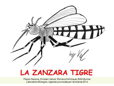 LA ZANZARA TIGRE Filippo Cassina, Christian Valorzi, Romano Kohlmayer, Edith Bucher Laboratorio Biologico, Agenzia provinciale per l’ambiente 2014.