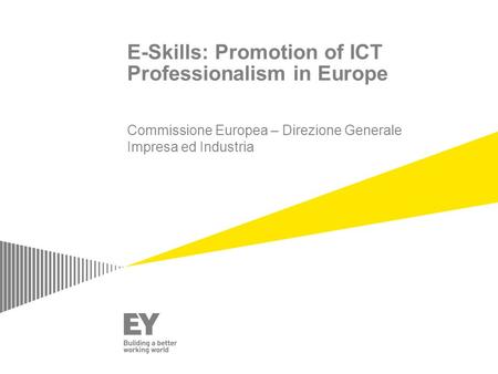 E-Skills: Promotion of ICT Professionalism in Europe Commissione Europea – Direzione Generale Impresa ed Industria.
