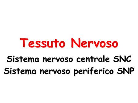 Sistema nervoso centrale SNC Sistema nervoso periferico SNP