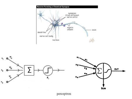 Perceptron. è la somma effettuata sul nodo i-esimo dello strato j n è il numero di nodi dello strato j-1 è l'output proveniente dal nodo k-esimo dello.