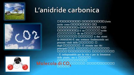 L’anidride carbonica Molecola di CO2