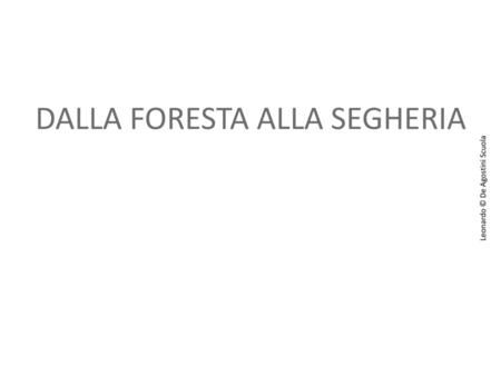 DALLA FORESTA ALLA SEGHERIA