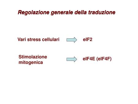 Regolazione generale della traduzione