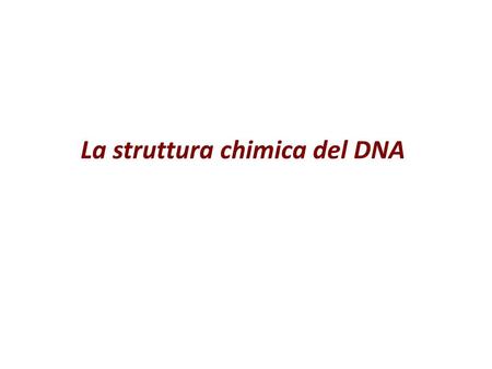 La struttura chimica del DNA