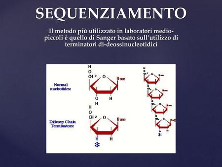 SEQUENZIAMENTO Il metodo più utilizzato in laboratori medio-piccoli è quello di Sanger basato sull’utilizzo di terminatori di-deossinucleotidici.