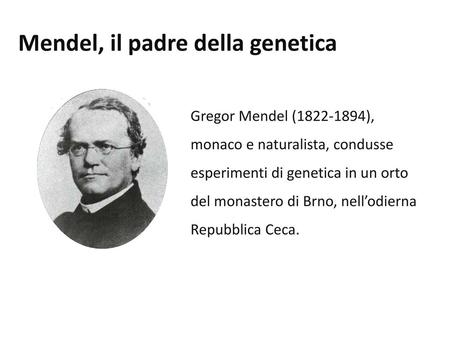 Mendel, il padre della genetica