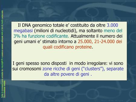 Il DNA genomico totale e’ costituito da oltre 3