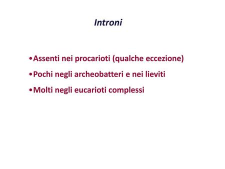 Introni Assenti nei procarioti (qualche eccezione)