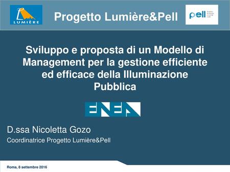 Sviluppo e proposta di un Modello di Management per la gestione efficiente ed efficace della Illuminazione Pubblica D.ssa Nicoletta Gozo Coordinatrice.