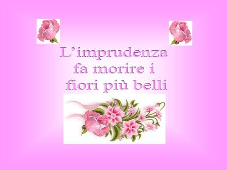 L’imprudenza fa morire i fiori più belli.