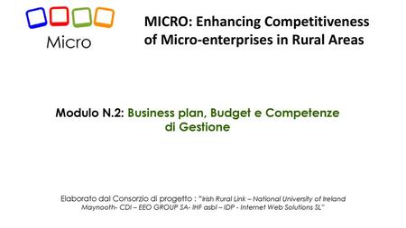 Modulo N.2: Business plan, Budget e Competenze di Gestione