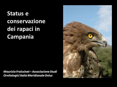 Status e conservazione dei rapaci in Campania