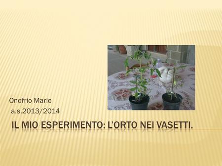 Onofrio Mario a.s.2013/2014.  n. 2 piantine di pomodori  N. 2 vasetti neri di plastica  Terriccio concimato con agenti naturali (letame)  Terriccio.