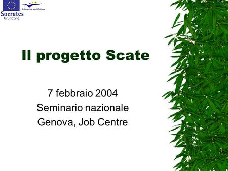 Il progetto Scate 7 febbraio 2004 Seminario nazionale Genova, Job Centre.